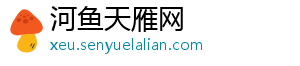 河鱼天雁网